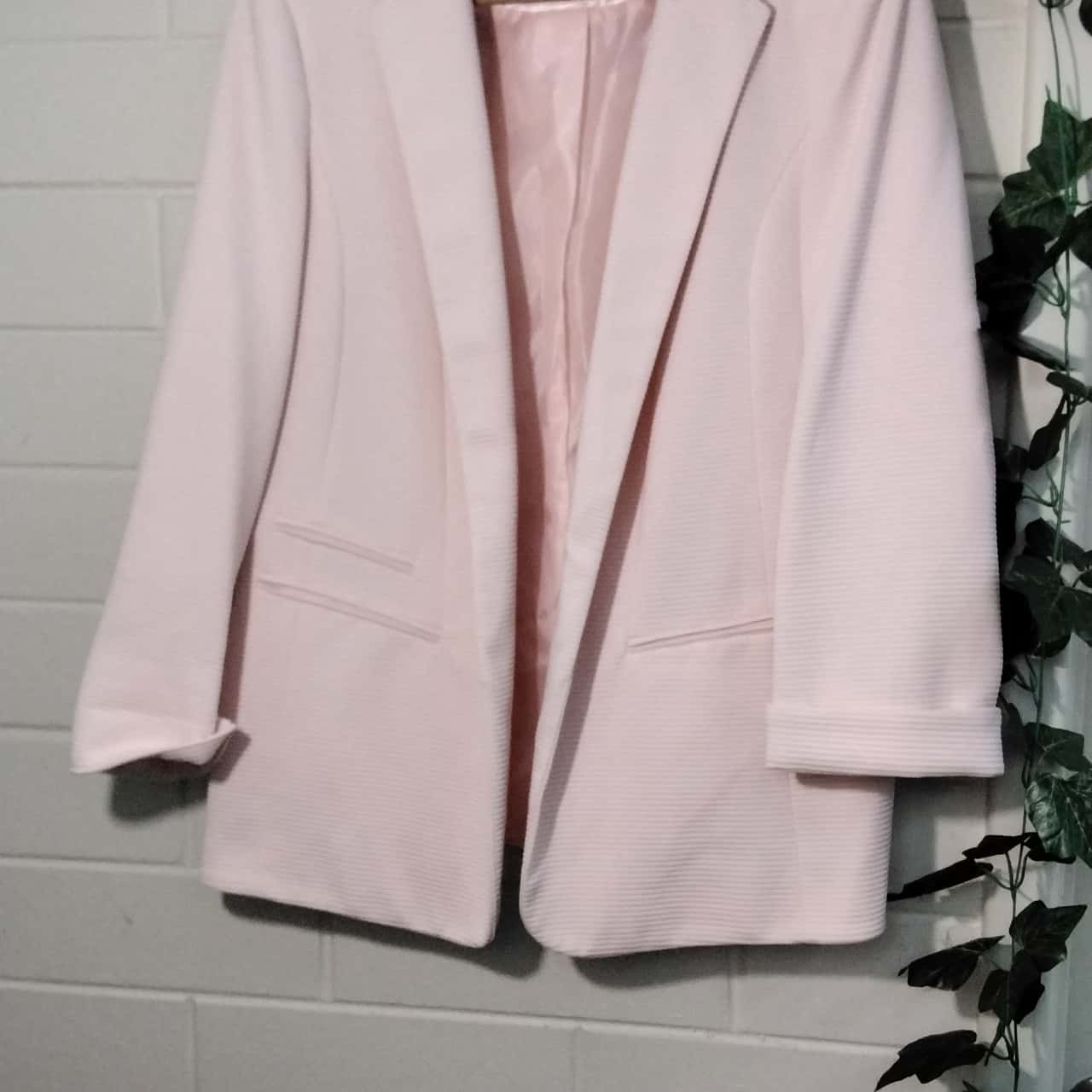 wallis ladies jackets