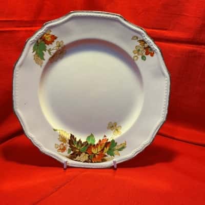 Vintage Alfred Meakin Dinner Place - Autumn Leaves Pattern