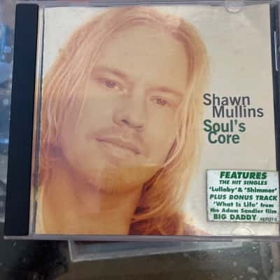 Shawn Mullins Soul’s core 