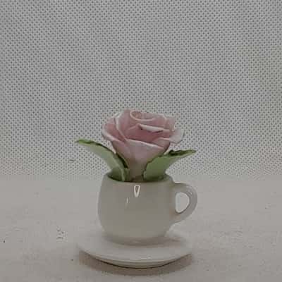 Maruri Masterpiece flower in a teacup