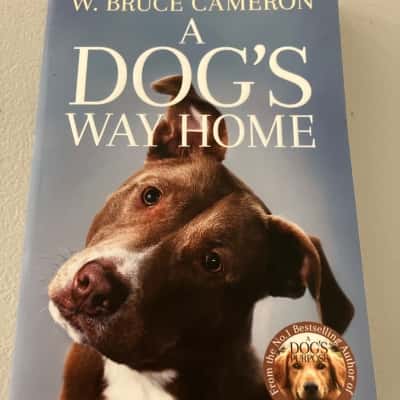 W. Bruce Cameron A dog’s way home 