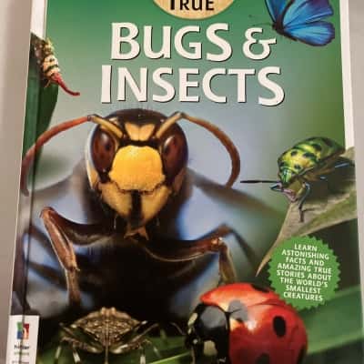 Incredible but true: bugs & insects 