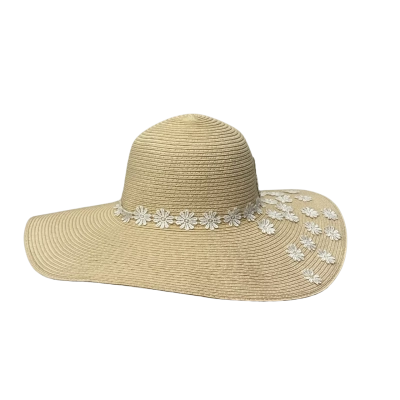 Sportsgirl Womens  Size One Size Paper Hat Brown 