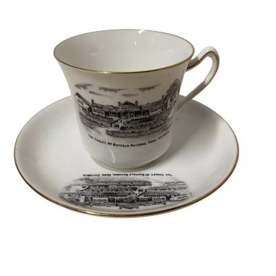 Vintage Grafton China porcelain cup and saucer-The Chalet MT Buffalo National Park Vic