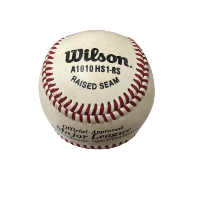 Wilson Premium Leather Cricket Ball