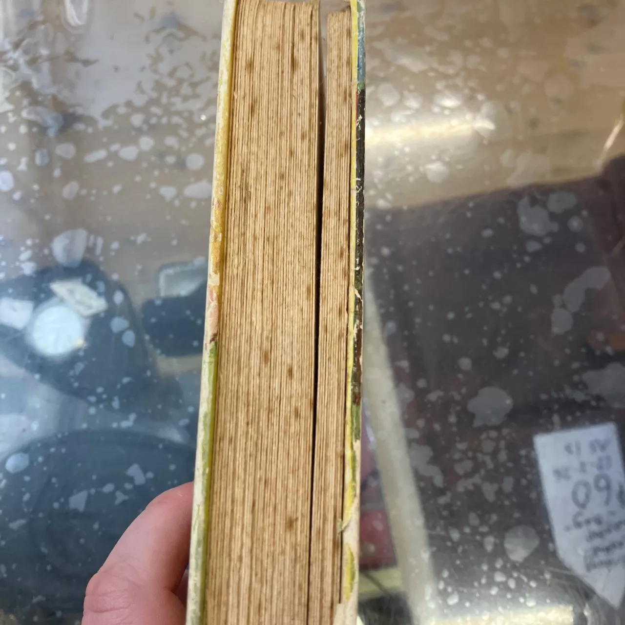 Image Tester