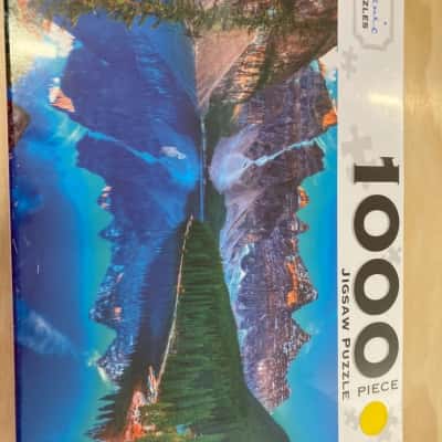 1000 piece jigsaw puzzle 