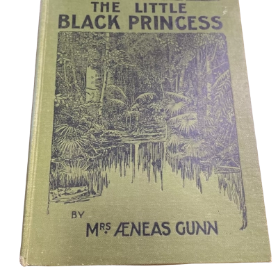 The Little Black Princess by  Mrs Gunn