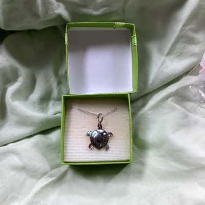  Womens Pendant and chain marked 925 (jb)