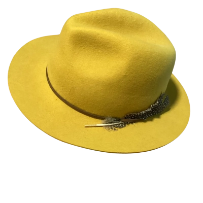 Stanton hat  Size One Size Mustard 