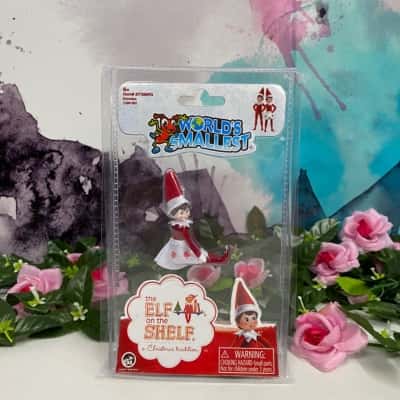 World’s smallest elf on the shelf 