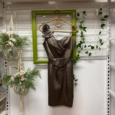 Liz Jordan Brand New With Tags Womens Mocca Cocktail Dress Size 10
