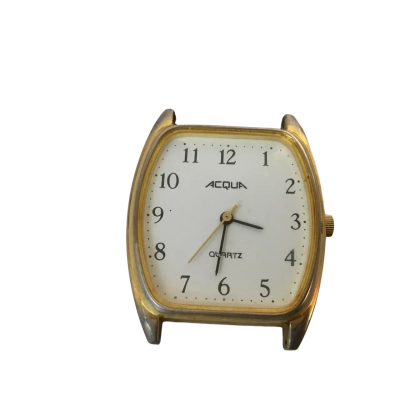  Mens Acqua Watch No Band Working 
