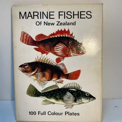 Marine fishes of New Zealand antique book
