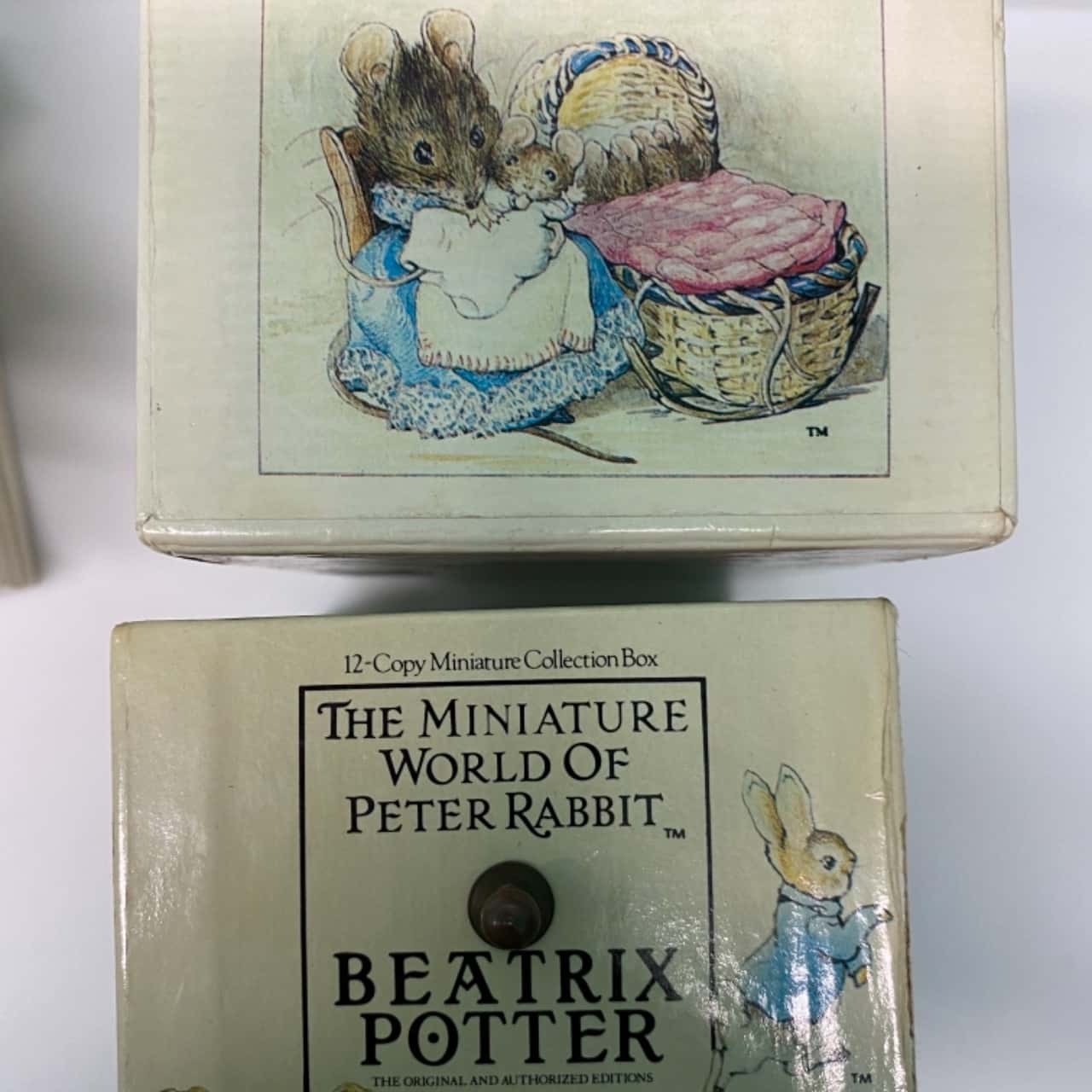 Miniature world of Peter Rabbit -16 mini books