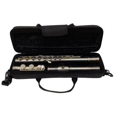 Nuova FL3E Western Concert Flute