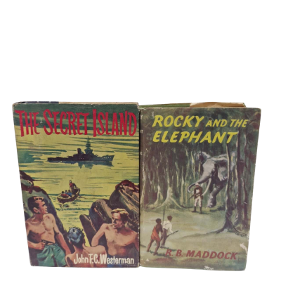 2 x novels the secret island and rocky and the elephant.