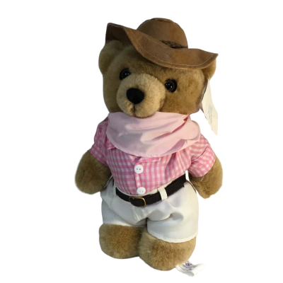 Care Flight Plush Bear Approx 34 x 23cm