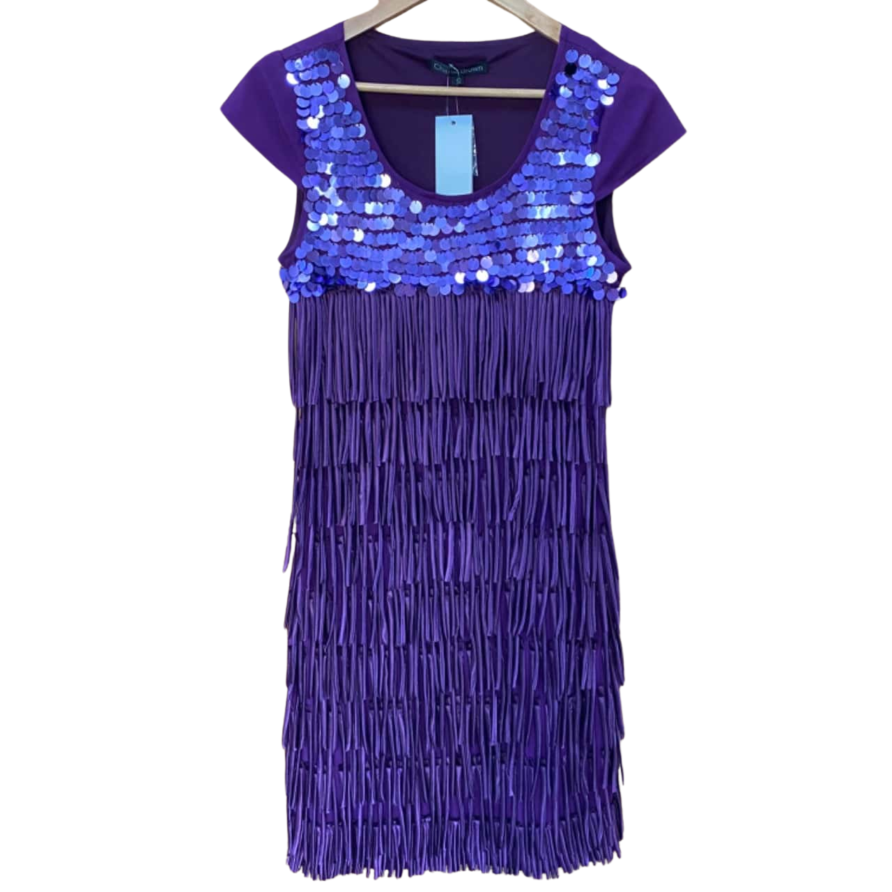 Charlie Brown Purple Tassel/Sequin Dress Size 12(s) - New With Tags |  Salvos Stores