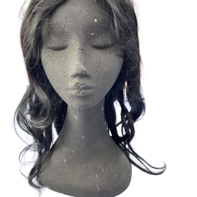 The Black Label by Raquel Welch Wig 