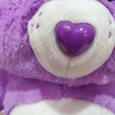 Care Bear(Share Bear) Plush 2015