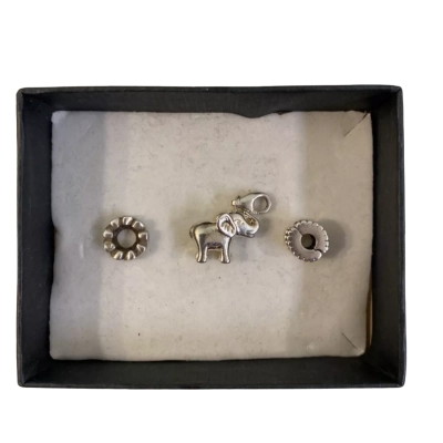 Silver 925 charms