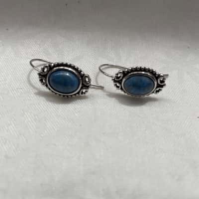  Women’s Earrings Silver COSTUME 