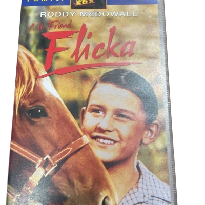 VHS-Flicka