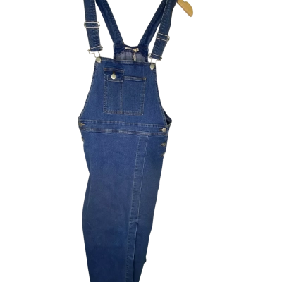 Sass Womens  Size 16 Denim Dress Blue 