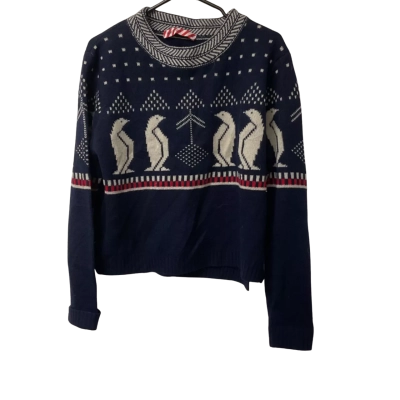 Mens Dangerfield Size XL Jumper Blue / Red / White 