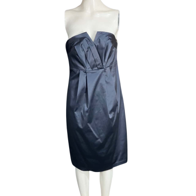 Monica  Size 10 Women's  Formal Dress Blue 