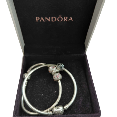 Pandora Womens Charm Bracelets