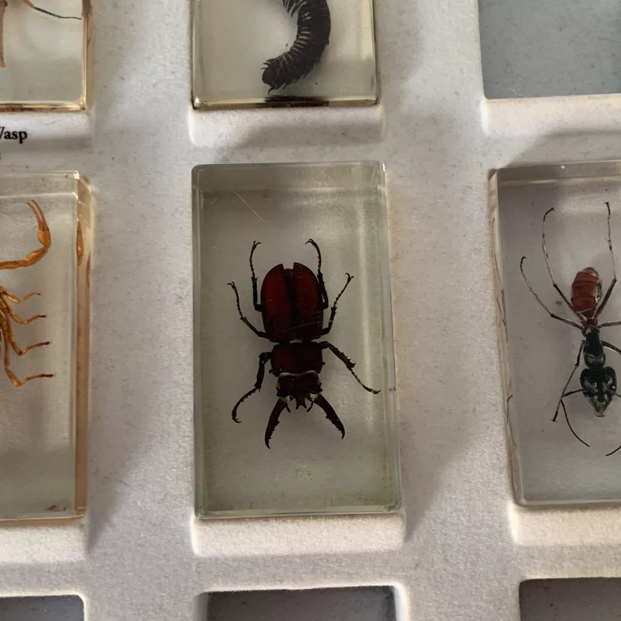 Image Tester