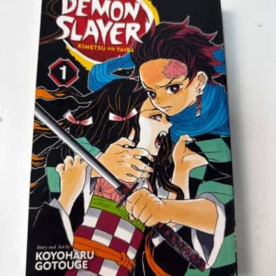 Demon slayer 1