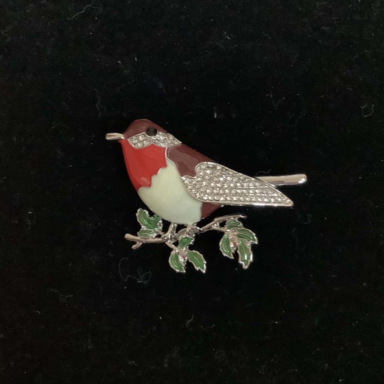 robin redbreast costume