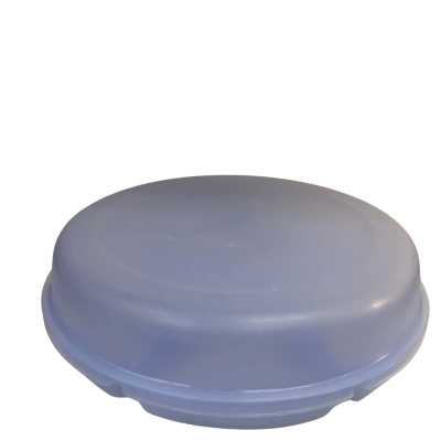 Tupperware Blue Divided Serving Container