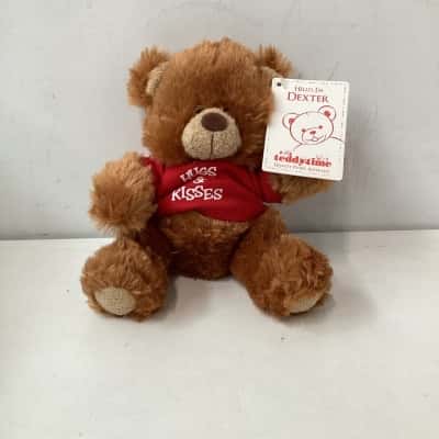 NEW - TEDDY TIME  Dexter Plush bear  "Hugs & Kisses"
