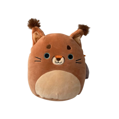 BNWT Squishmallows Ferraz