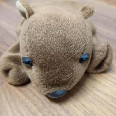 Adorable Wombat Beanie Plush