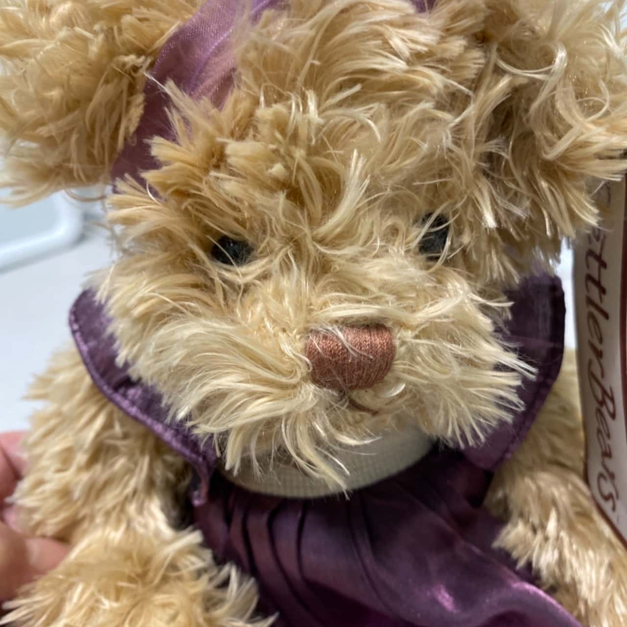 Settler Bears -Mitali BNWT