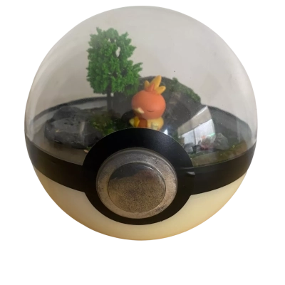 CHARMANDER (Large 5.5 inch) Poké Ball Diorama Terrarium   (Collectable)