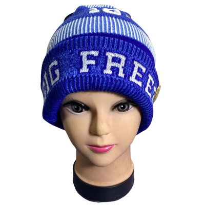 Unisex The BIG Freeze 10 Adult Beanies