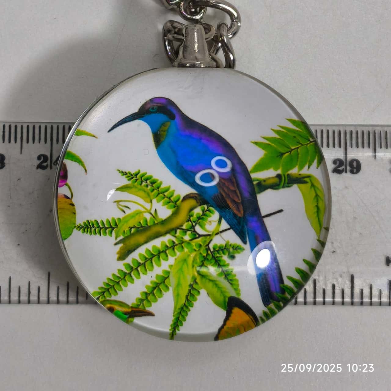 Image Tester