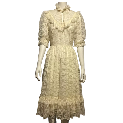 Vintage prairie-style lace dress 