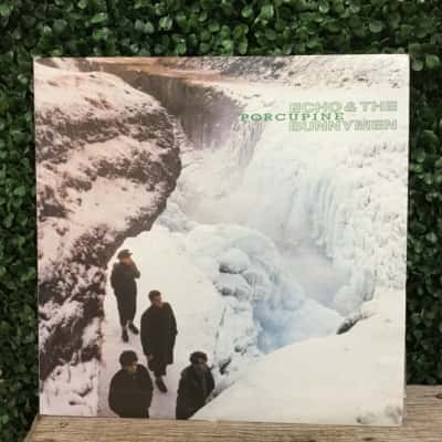 Echo & the Bunnymen, Porcupine vinyl record album