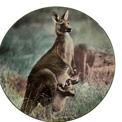 Vintage Royal Doulton 2 Plates 