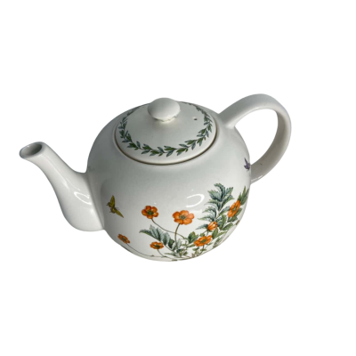 Maruni Japan Joive Tanguin  Botanical Garden Teapot 