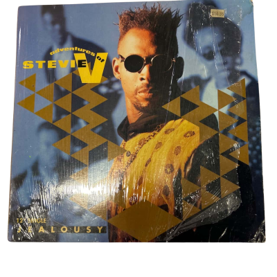 Adventures of Stevie V vinyl