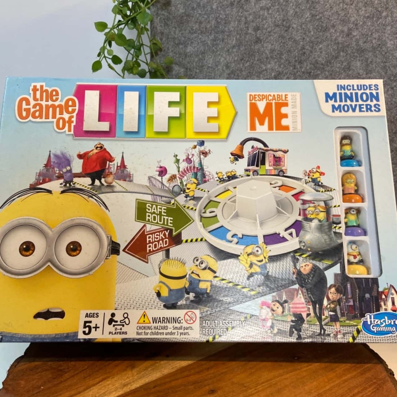 The Game of Life, Despicable Me
