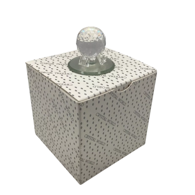 Crystal World  1998 Spaceship Earth Disneyland In Gift Box CRYSTAL FIGURE    (Brica Shelf)